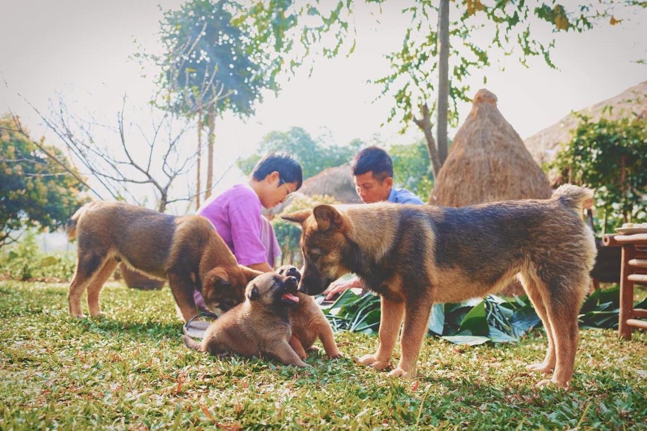 Mai Chau Valley Retreat Ngoại thất bức ảnh
