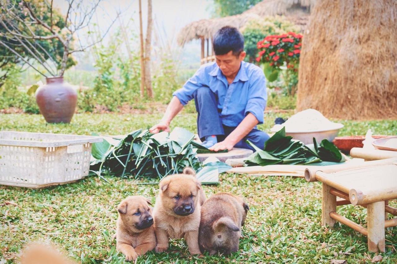 Mai Chau Valley Retreat Ngoại thất bức ảnh